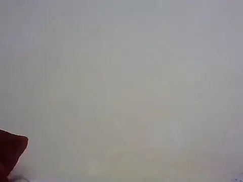 Snapshot of vijican chatting on 3, 8, 2026 vijican online show from 3, 8, 2026