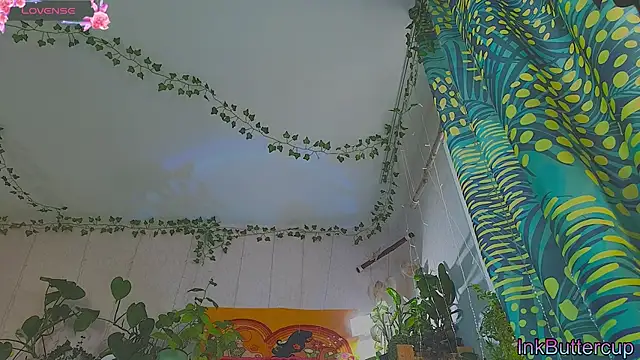 Dead Butterfly online show from 16, 9, 2025