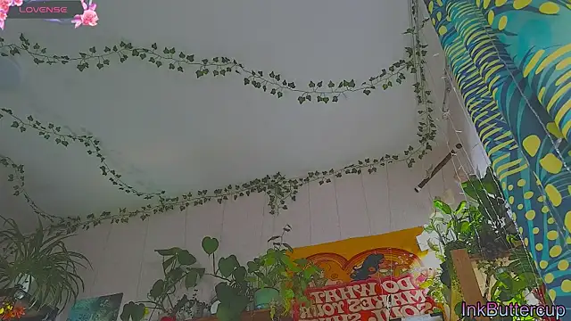 Dead Butterfly online show from 18, 9, 2025