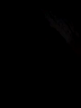 Snapshot of Gazda12 chatting on 19, 12, 2025 Gazda12 online show from 19, 12, 2025