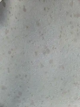 Snapshot of 415cali925 chatting on 17, 3, 2026 415cali925 online show from 17, 3, 2026