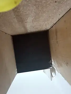 sweetshorexxx online show from 31, 1, 2025