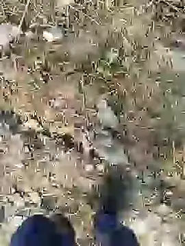 ThethunderPo online show from 28, 12, 2024