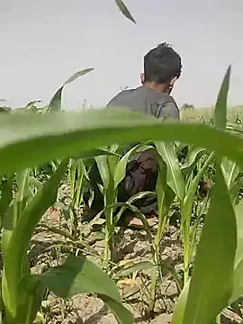 ThethunderPo online show from 5, 3, 2025