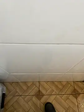 descret 19 online show from 11, 2, 2026