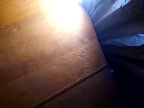 UncutHammer69 online show from 17, 2, 2026