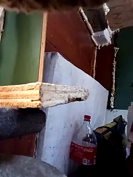 Serapitocojelon online show from 28, 10, 2025