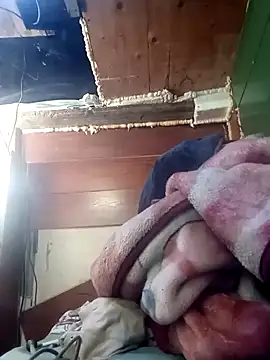 Serapitocojelon online show from 19, 11, 2025