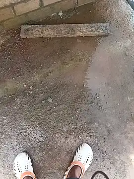 Bengali BULL1 online show from 10, 10, 2025