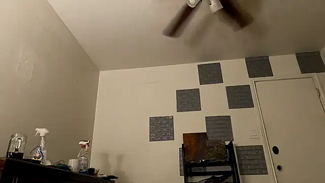 TheDaisyChaos online show from 14, 3, 2025