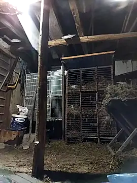 Snapshot of sarpe4 chatting on 2, 3, 2026 sarpe4 online show from 2, 3, 2026