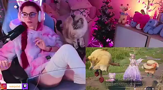 Snapshot of Indriya2x0 chatting on 17, 12, 2024 Indriya2x0 online show from 17, 12, 2024