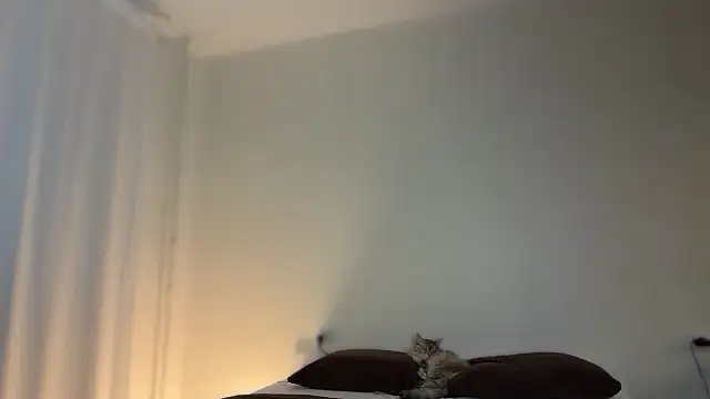 Milky   Way online show from 10, 1, 2026