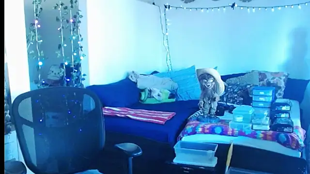 mycock2474u online show from 25, 2, 2025