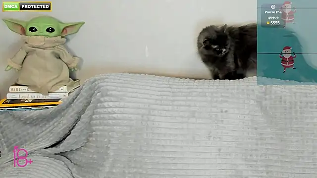 3ight33nplus online show from 22, 12, 2024