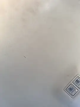 Tristris100 online show from 23, 12, 2024