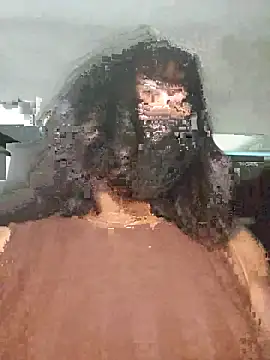 Latin summer online show from 4, 12, 2025