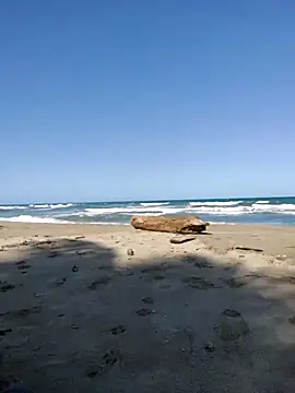 Luna-Natural online show from 8, 11, 2025