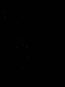 Ixchel Anaid online show from 5, 1, 2026