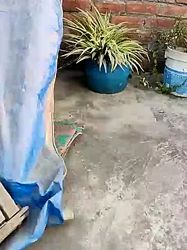 indianSmartboy online show from 21, 12, 2024