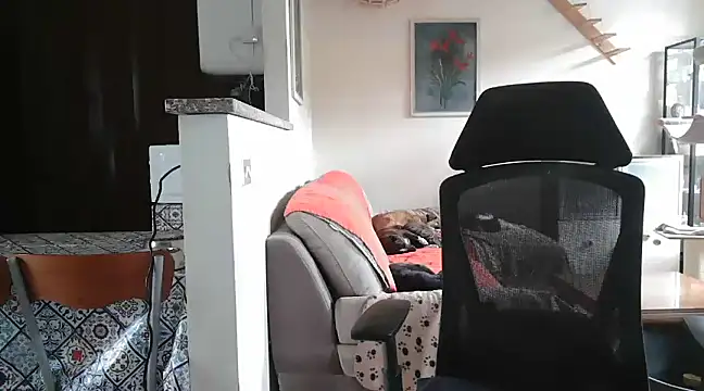 simona60 online show from 23, 2, 2025