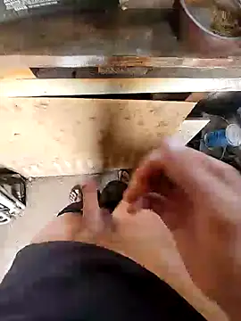 bighornycockup online show from 26, 12, 2024