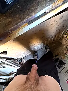 bighornycockup online show from 13, 10, 2025