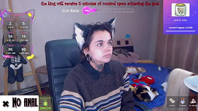 Dark  Elf online show from 3, 5, 2026