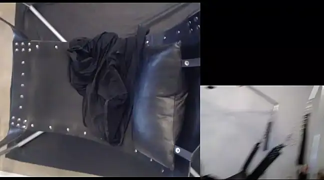 njdbear online show from 22, 12, 2024