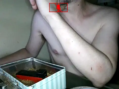 Ethangay online show from 14, 7, 2026