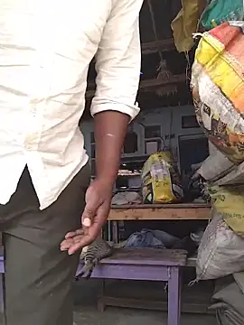 Snapshot of rohanhotguy chatting on 14, 2, 2026 rohanhotguy online show from 14, 2, 2026