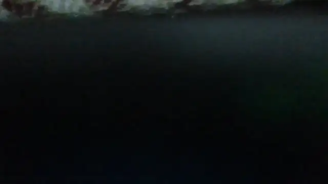 Snapshot of Leo_Big chatting on 23, 9, 2025 Leo Big online show from 23, 9, 2025