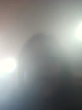 DORYY online show from 17, 7, 2026