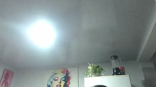 GABY FOX TS online show from 25, 6, 2026