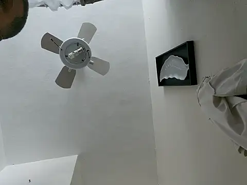 tropikboy online show from 23, 3, 2026