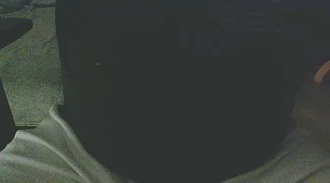 Snapshot of Palimy chatting on 4, 2, 2025 Palimy online show from 4, 2, 2025