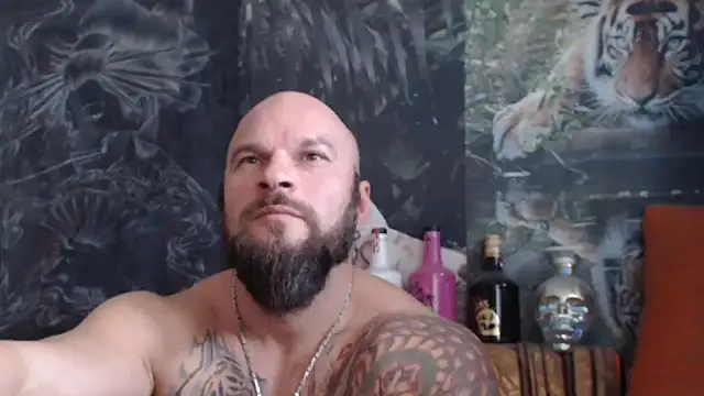 viking 30 online show from 4, 11, 2025