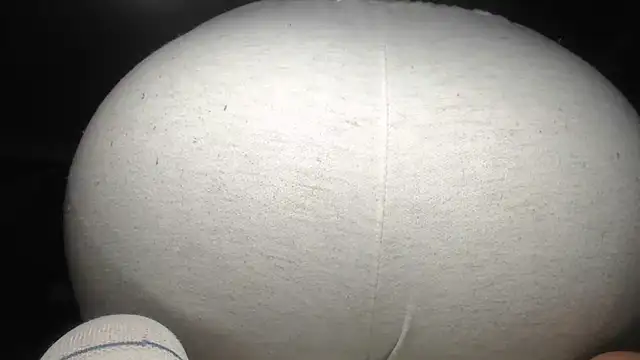 Snapshot of prettyangelsquirt chatting on 4, 10, 2025 prettyangelsquirt online show from 4, 10, 2025