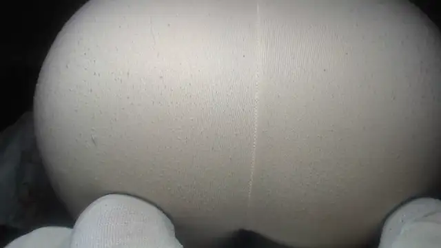 prettyangelsquirt online show from 14, 7, 2026