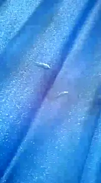 Snapshot of Luismiguel55 chatting on 8, 3, 2025 Luismiguel55 online show from 8, 3, 2025