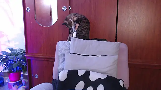 Snapshot of Raventh_ chatting on 13, 2, 2026 Raventh online show from 13, 2, 2026