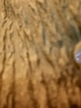 Snapshot of Dirtyfeelin chatting on 13, 2, 2025 Dirtyfeelin online show from 13, 2, 2025