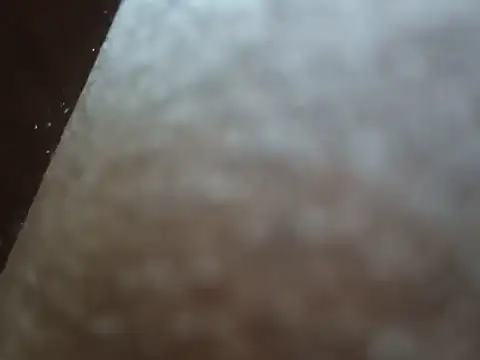 PrinceNoAlbert online show from 6, 12, 2024