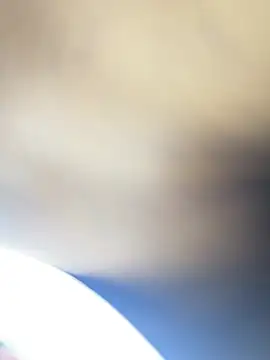 roman and jessie online show from 29, 6, 2026