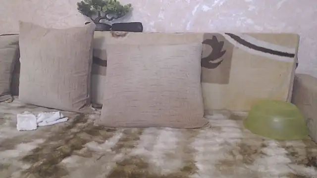 Amy August online show from 6, 5, 2026
