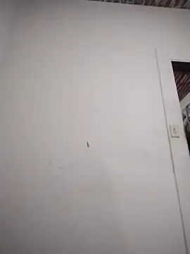 Snapshot of catdool chatting on 6, 2, 2026 catdool online show from 6, 2, 2026