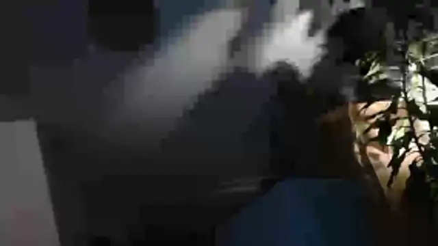 Sissy LiaXXX online show from 8, 3, 2026