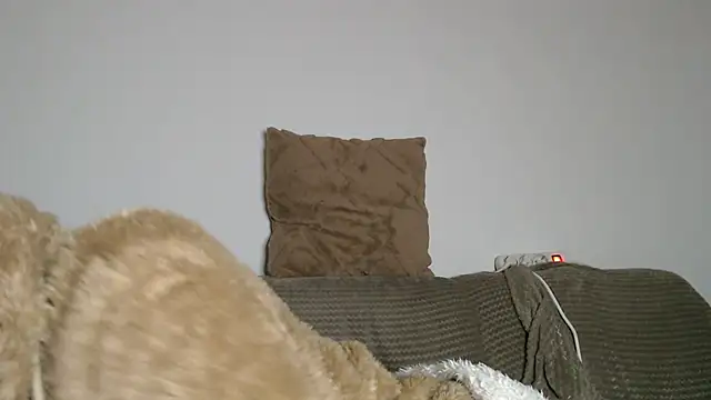 Katze22 online show from 4, 12, 2024