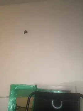 Foreignthababyy online show from 13, 1, 2026