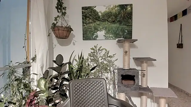 Snapshot of sexnherbs chatting on 11, 2, 2026 sexnherbs online show from 11, 2, 2026